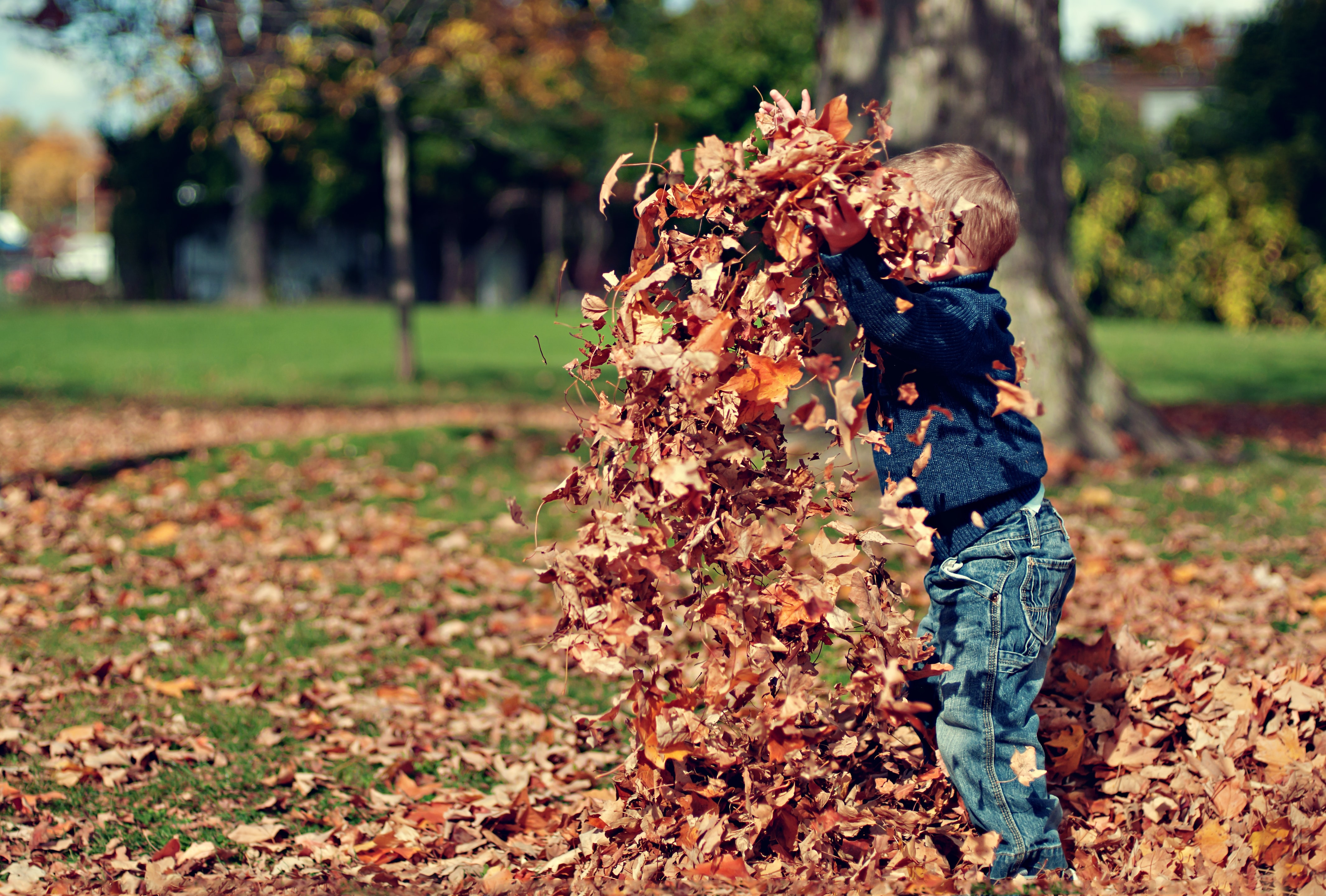 Child outside throwing leaves